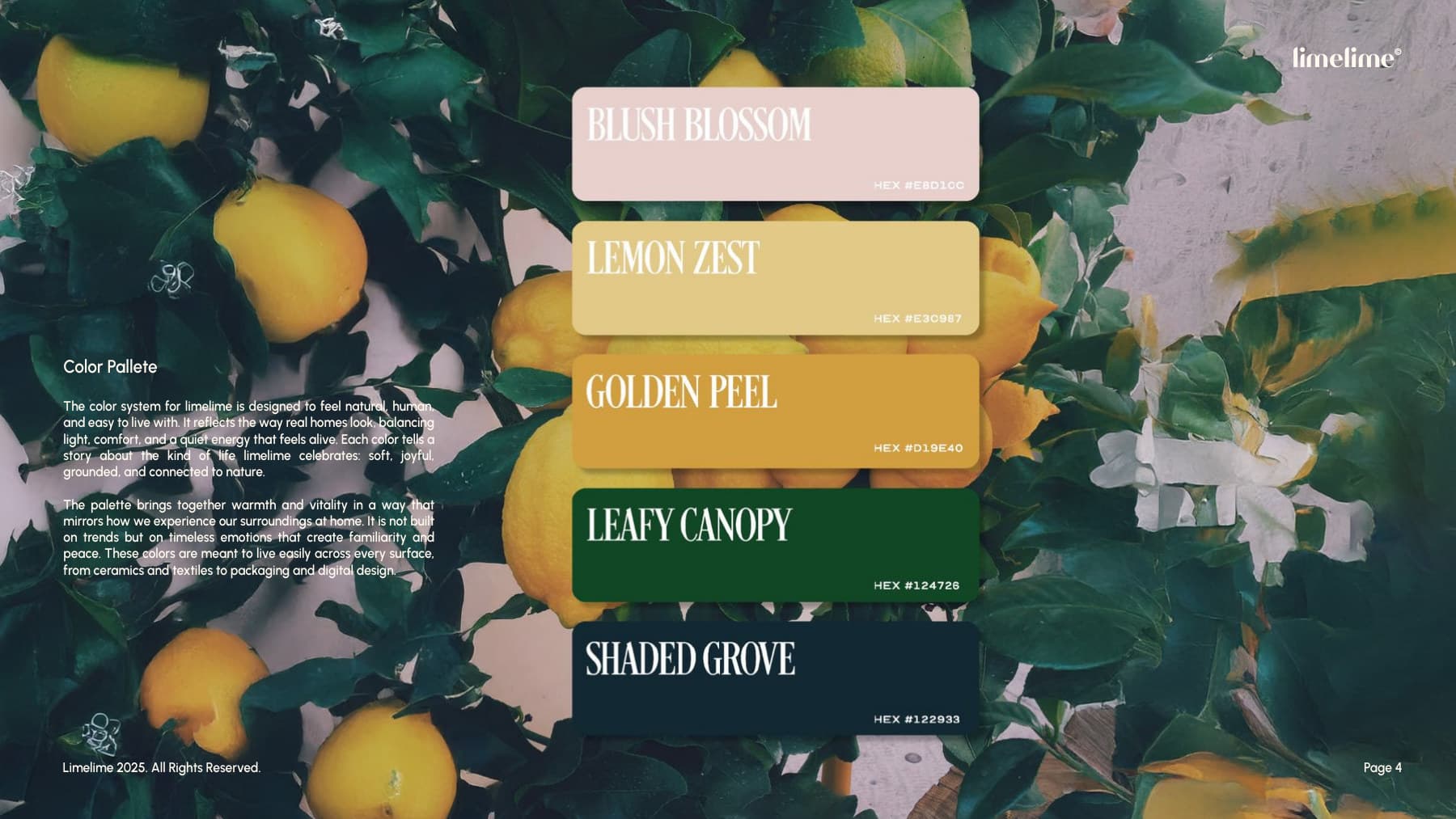 limelime brand guidebook — colour and type