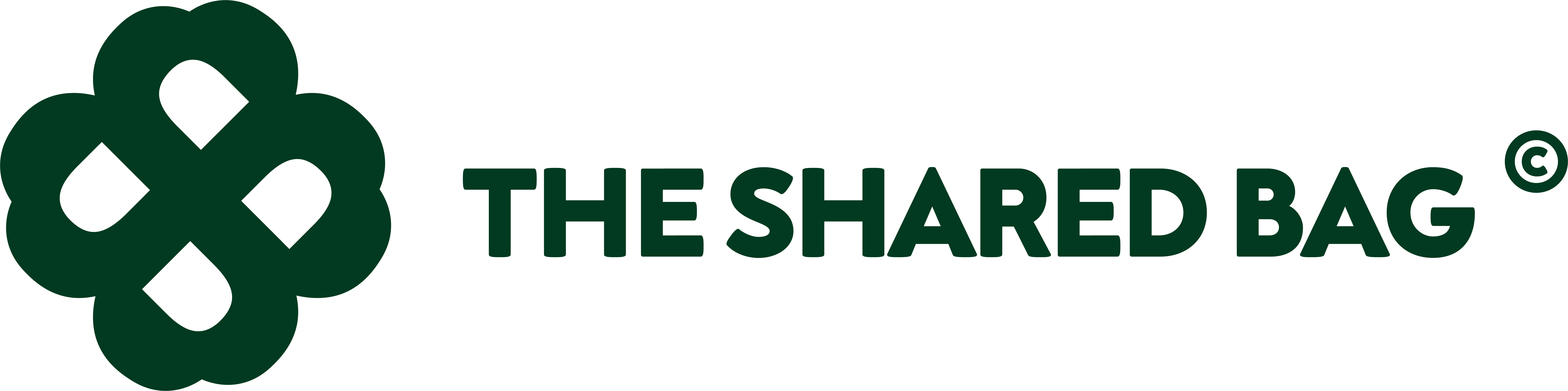 The Shared Bag